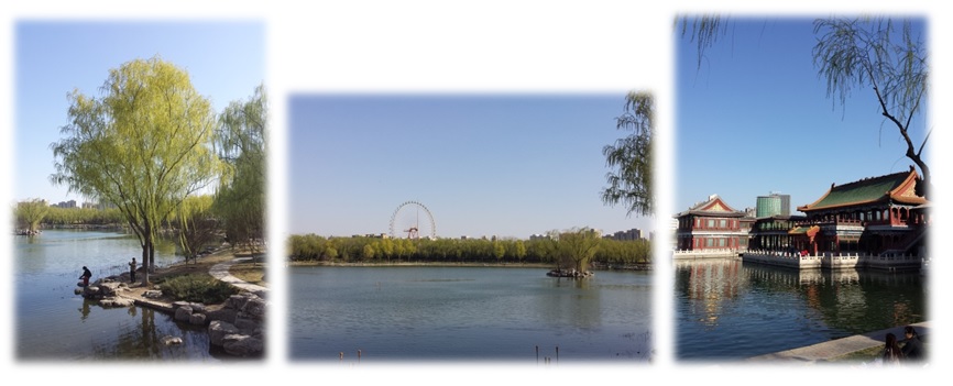 A Dragon Cave in the City – Spring&nbsp;days