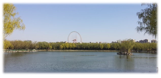 A Dragon in the City Jungle – Beijing 北京 (part&nbsp;I)