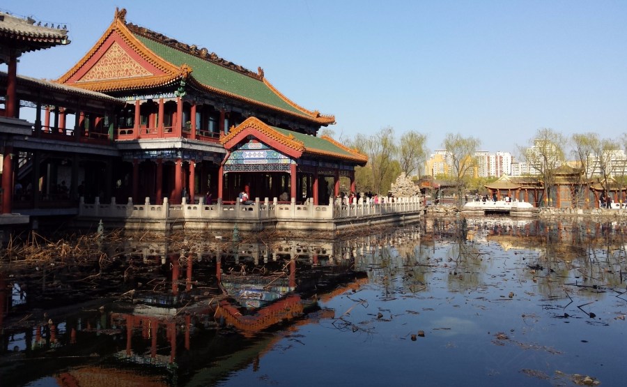 Away from the city hustle & bustle – Gallery of a peaceful Dragon&nbsp;Pool