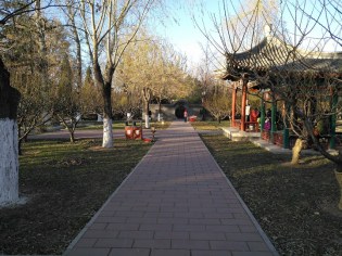 IMG_20161127_153409