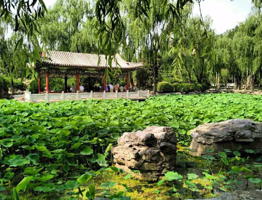 Chasing the light – 日坛 the Temple of the&nbsp;Sun