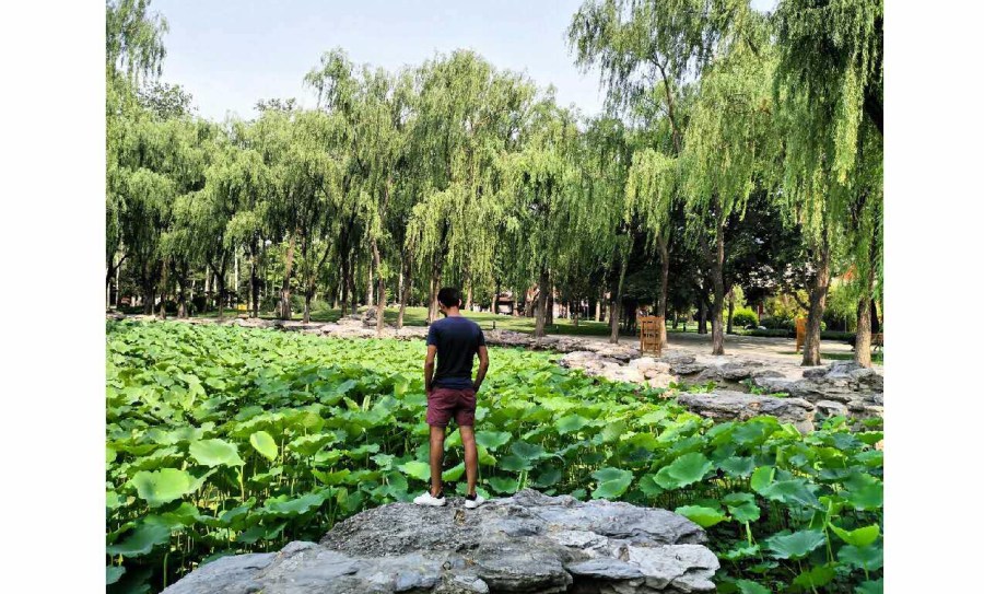 日坛 Let us shine like the&nbsp;Sun