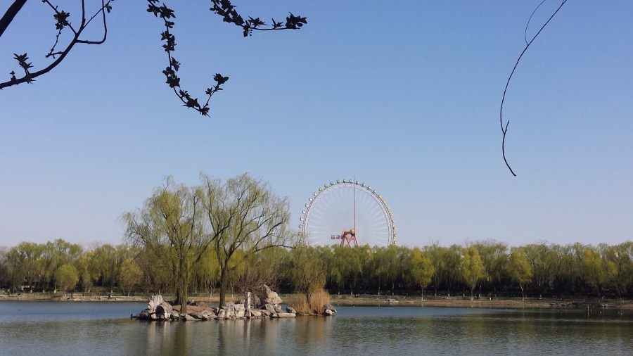 Dragon Cave in the City –&nbsp;Gallery